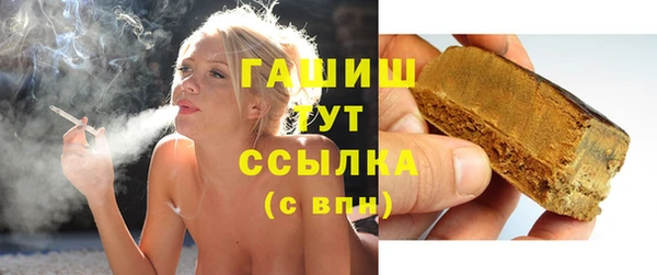 гидра Богородск