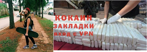 гидра Богородск