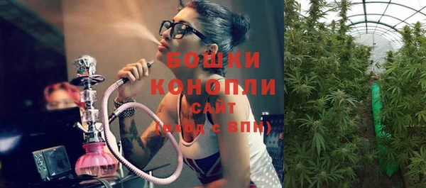 винт Богданович