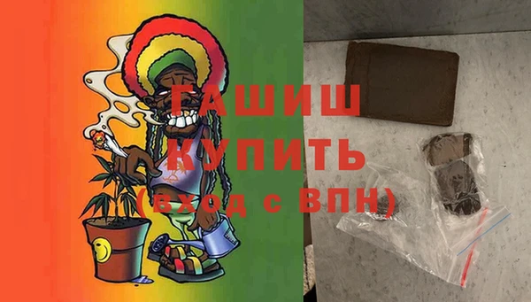 гидра Богородск