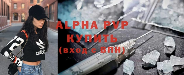 гидра Богородск