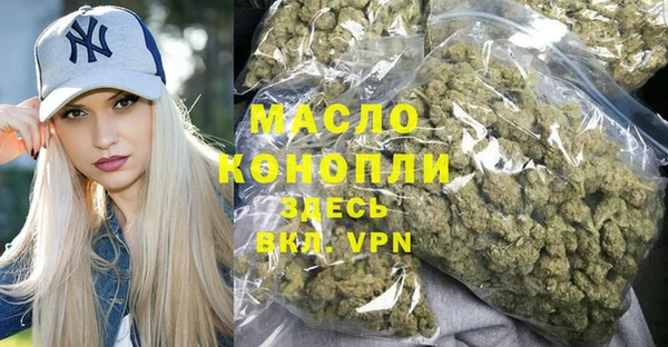 гидра Богородск