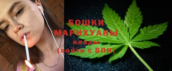 винт Богданович