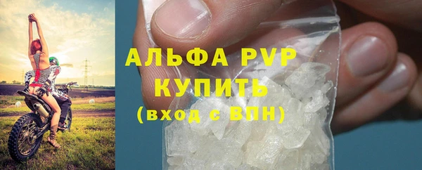 винт Богданович